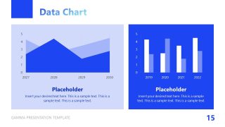 Gamma Business Overview Slide Deck 