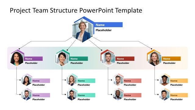 Project Team Structure Template PPT Slide