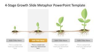 Editable 4-Stage Growth Slide Metaphor Template
