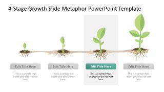 4-Stage Growth Slide Metaphor PPT Design 