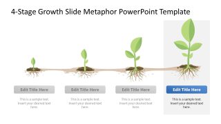 4-Stage Growth Metaphor Diagram Template