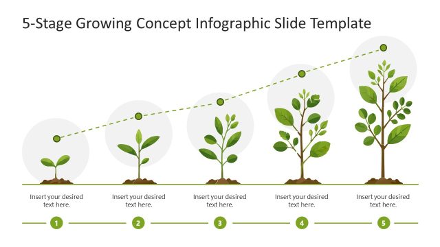5-Stage Growing Concept PowerPoint Template