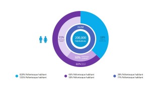 Infographics Pie Chart for PowerPoint