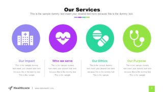 4 Segment Infographic Healthcare Services