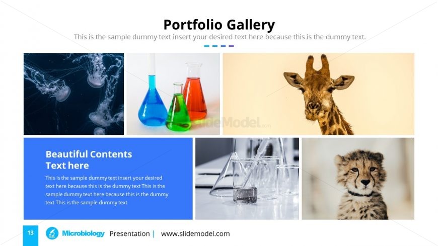 PowerPoint Template of Microbiology