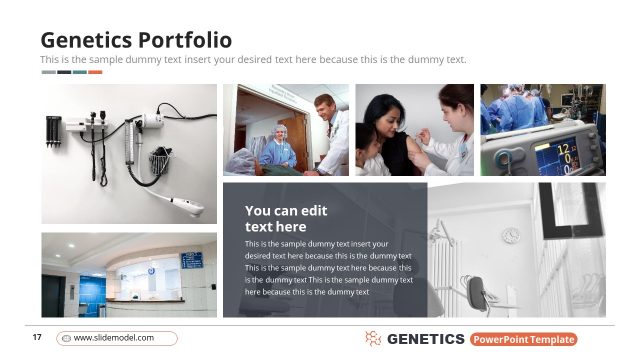 Genetics Company Portfolio Slide PPT