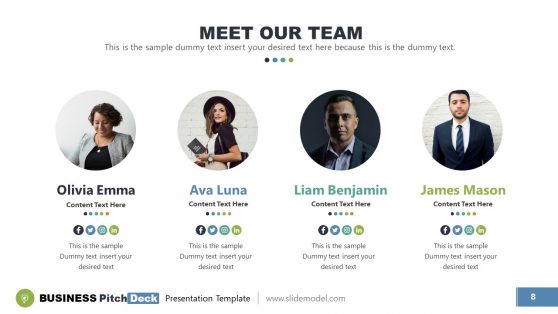 Vision Template Meet the Team