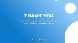 Alternative Thank You Slide Dropshipping PPT Template