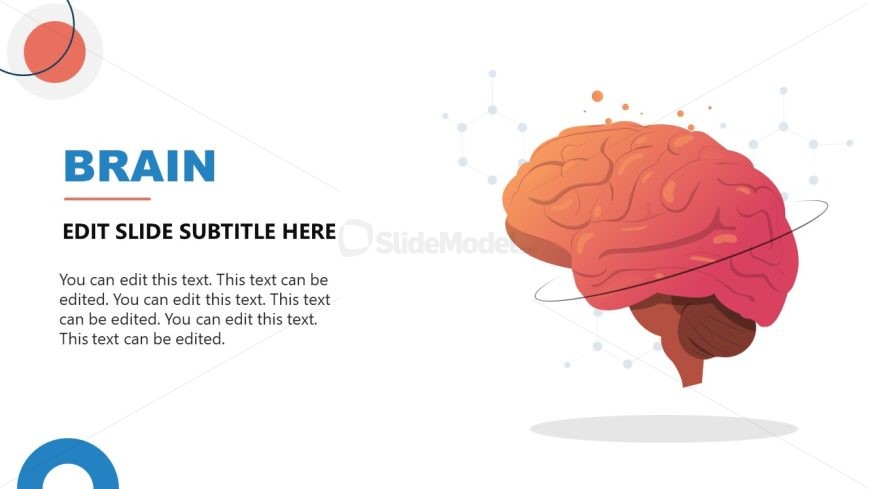 Neuroscience Presentation Template  Slide