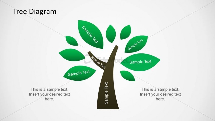 This is a simple but useful tree Diagram Design for PowerPoint with editable text placeholders and a green tree trunk.