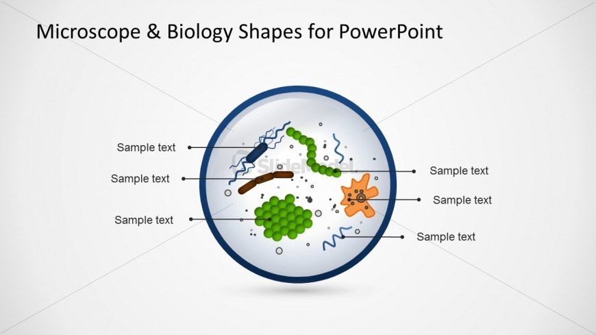 Biology PowerPoint Slide Design