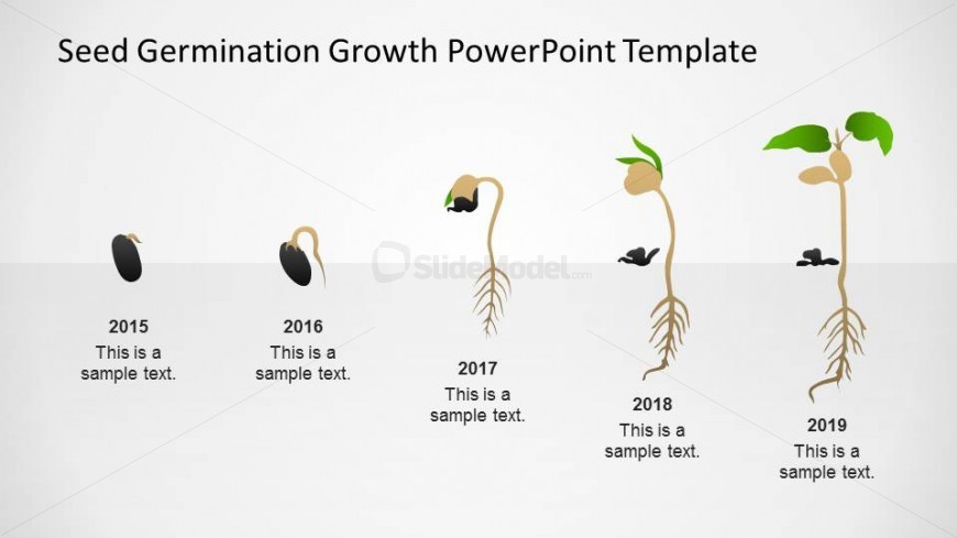 chart process template flow Are Where Germination Timeline Milestones Stages of Process PowerPoint