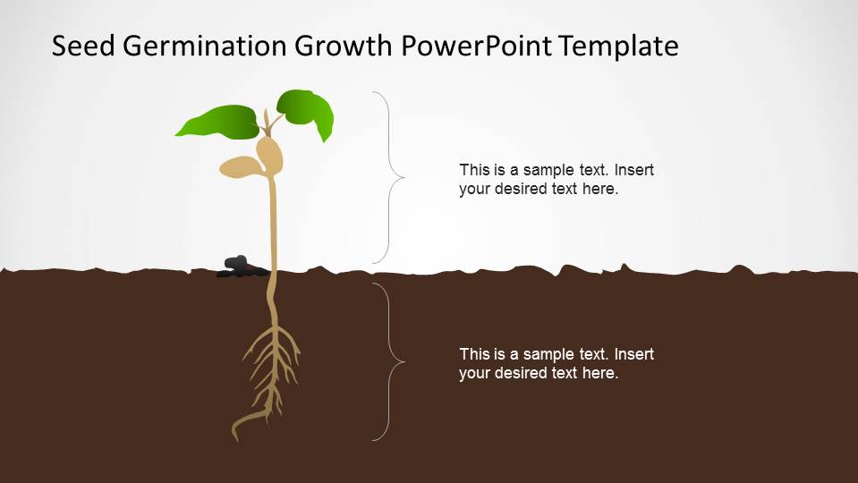 template business model Growth Germination Template SlideModel Seed PowerPoint