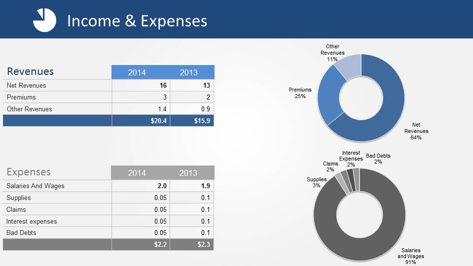 Data Driven Donut Charts of  Revenues and Expenses