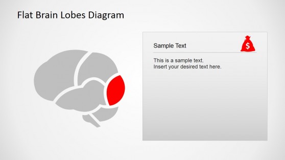 Flat Occipital Brain Lobe Diagram for PowerPoint