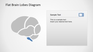 Brain Stem Cross Sectional Diagram with Icons