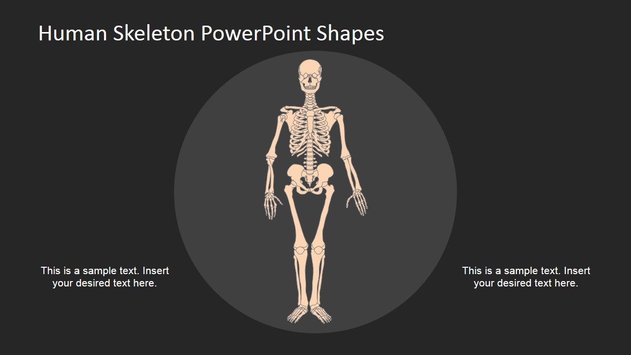 PowerPoint Ideas For Skeleton Model - SlideModel