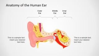 Creative Medicine Presentation in PowerPoint
