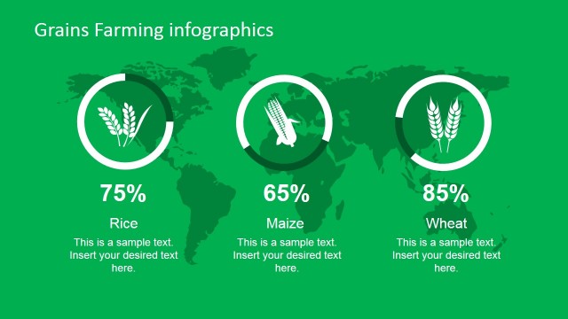 Professional Farming Grains PowerPoint Infographic