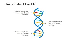 Vertical Picture of DNA Strands for PowerPoint