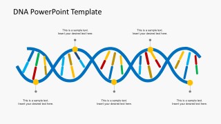 Organizational DNA Strands PowerPoint Templates