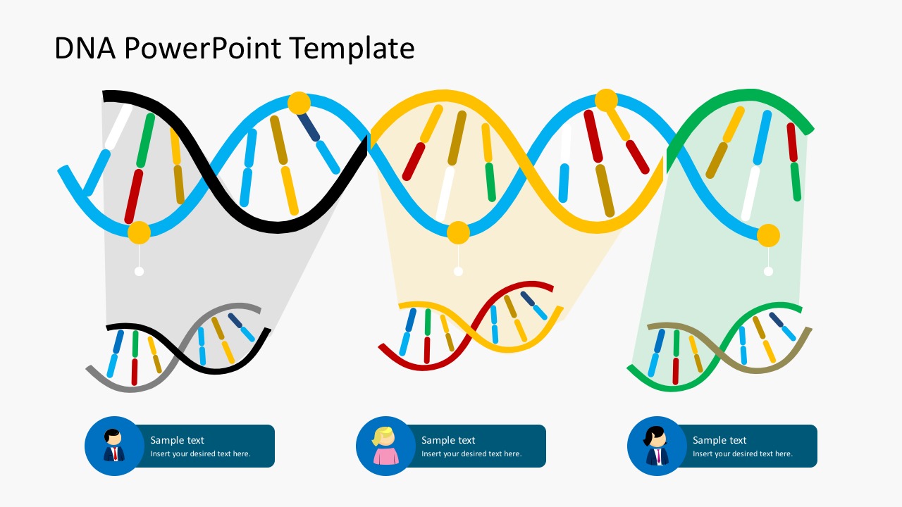 Organization Culture DNA PowerPoint Templates