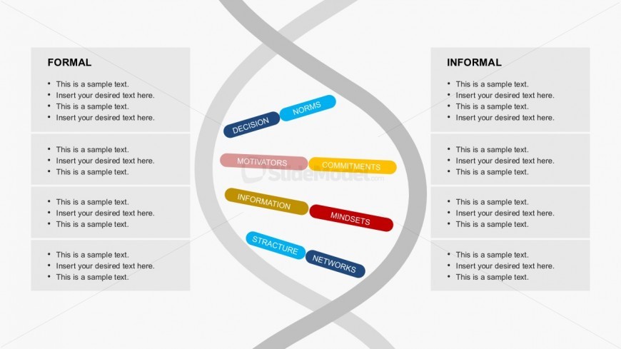 Formal Informal Organization DNA Genetic Code