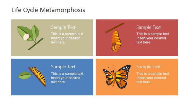 Butterfly Metaphor Business Lifecycle PowerPoint