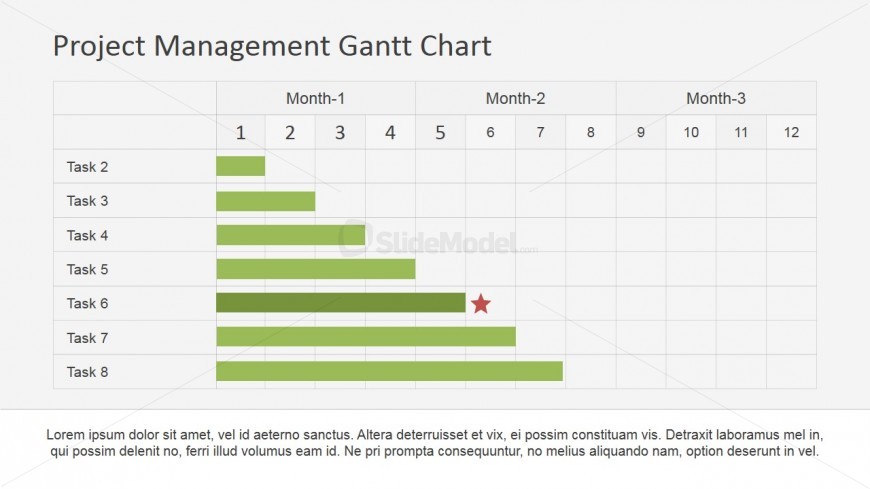 Project Roadmap Milestones Gantt Chart