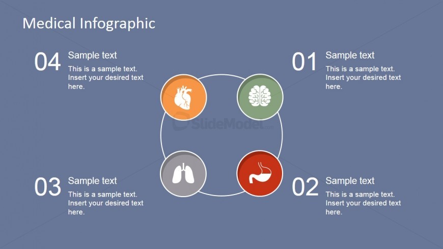 Medical Circular Diagram with Vital Organs