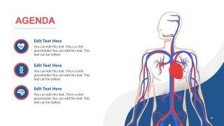 PowerPoint Agenda Templates for Circulatory System 