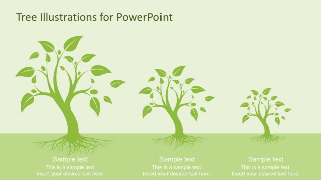 Tree Diagrams With Roots for PowerPoint