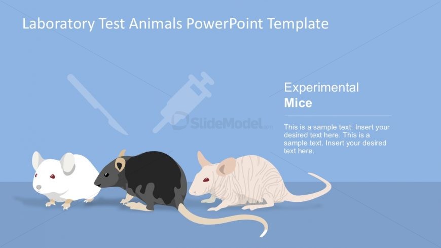 classy animal design for powerpoint