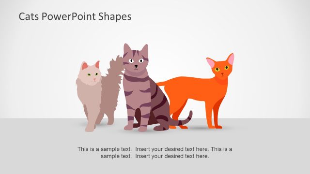 Persian White Cat Slide