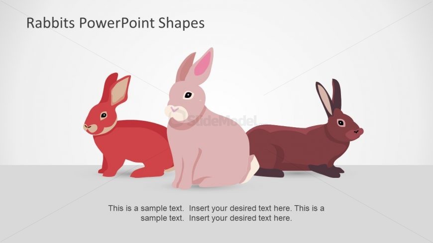 Hopping Bunny Fluffy Pet