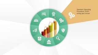 Quality Improvement Plan Development