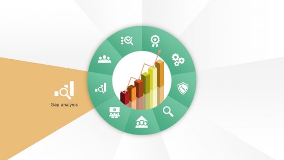 Gap Analysis Performance Measure Tool