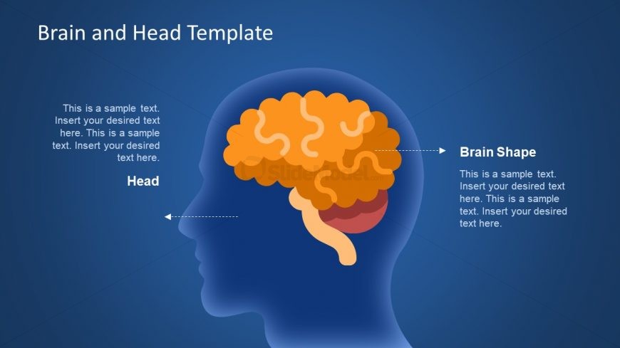 Human Head And Brain Shape Slide SlideModel