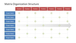 Matrix organizational structure