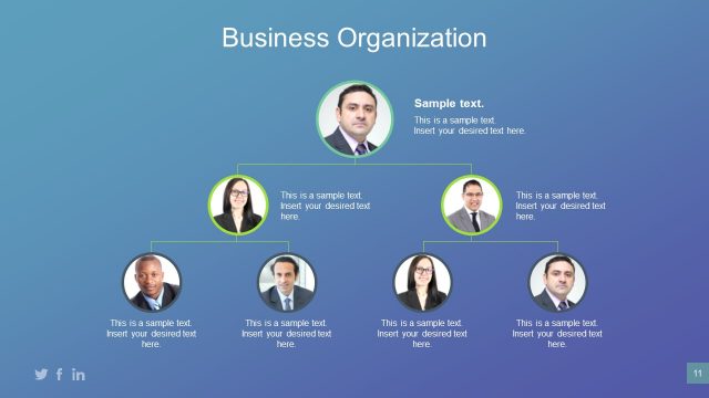 Structure of Business Organization in PowerPoint