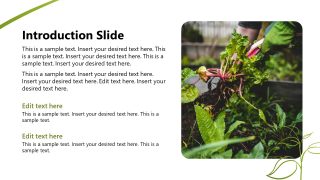 Editable Hydroponic Business Template