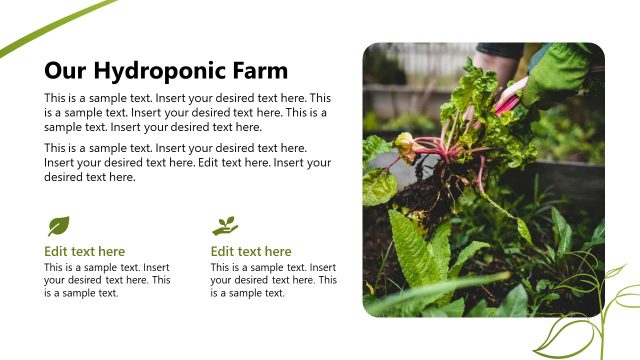 Our Hydroponic Farm PowerPoint Slide