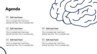 Understanding the Teen Brain Template for PowerPoint 