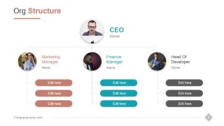 Organizational Chart Hierarchy Template