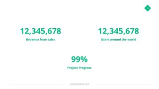 Product or Company Progress Report