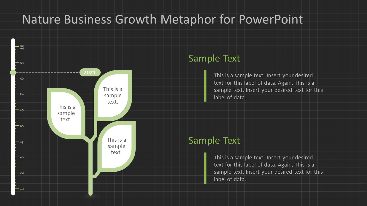 Plant Metaphor for Business Growth Phases