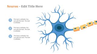 Label Diagram PowerPoint Neuron Template 