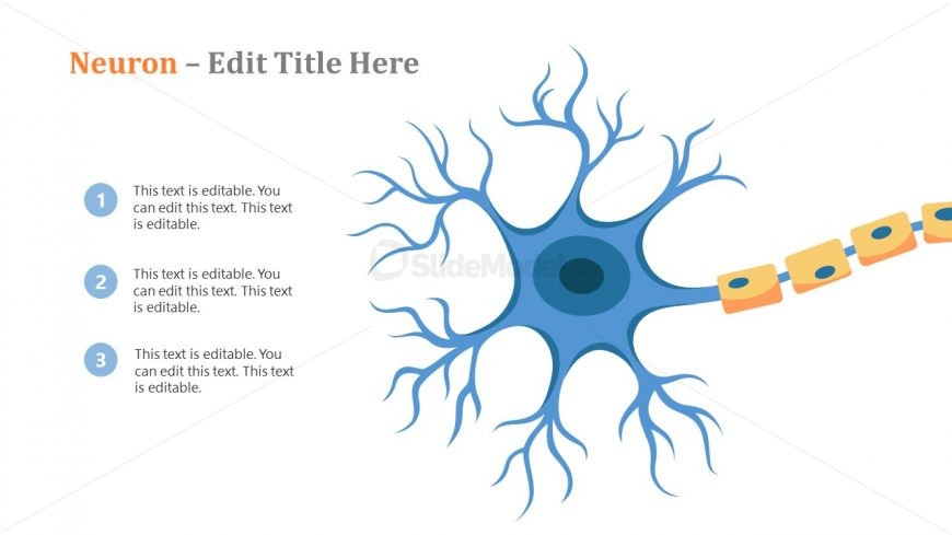 Label Diagram PowerPoint Neuron Template 