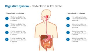 Presentation for Digestive System Healthcare Template 