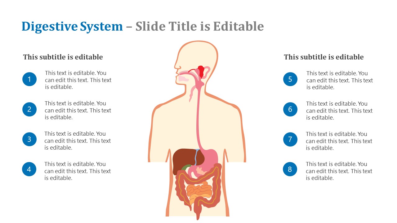 Digestive System PowerPoint Template - SlideModel